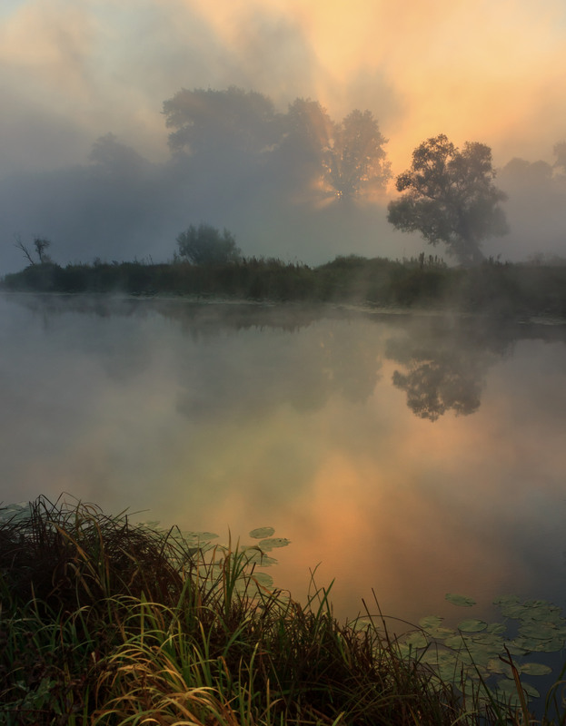 Jutro u magli: Ljepota svijeta sporijeg tempa